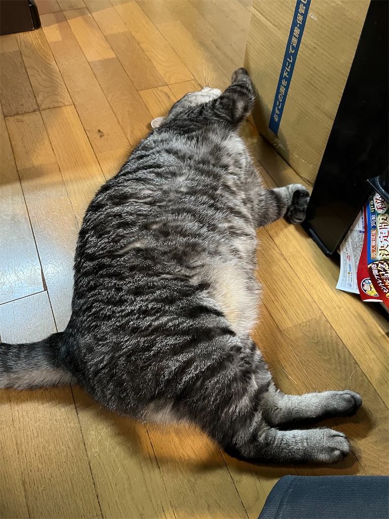 f:id:SHIMOTAYA:20250514210112j:image