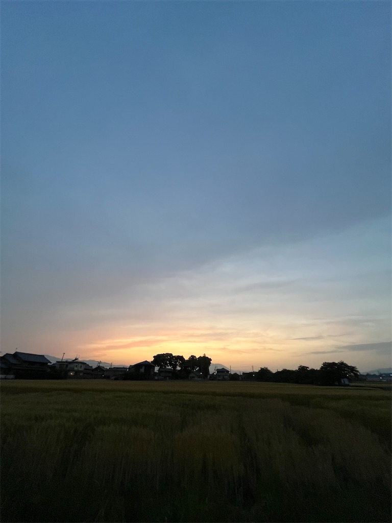 f:id:SHIMOTAYA:20250519193946j:image