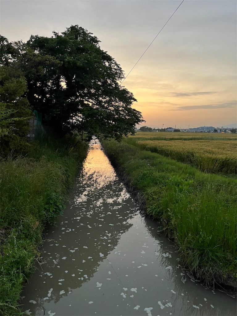 f:id:SHIMOTAYA:20250519194130j:image