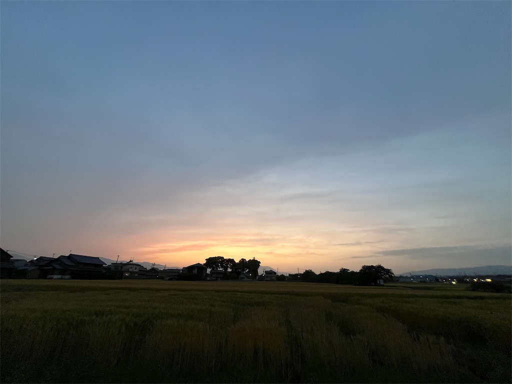 f:id:SHIMOTAYA:20250519194311j:image