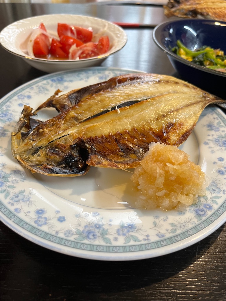 f:id:SHIMOTAYA:20250529192448j:image