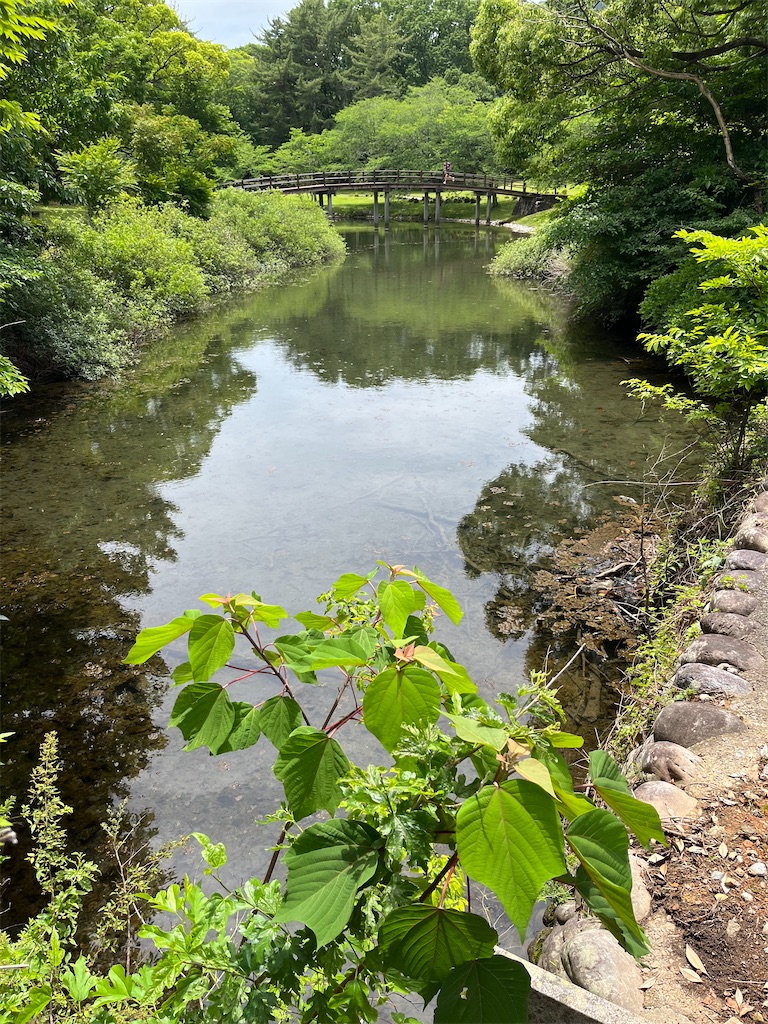 f:id:SHIMOTAYA:20250530182952j:image
