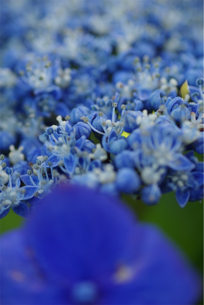 f:id:SHIMOTAYA:20250615220134j:image