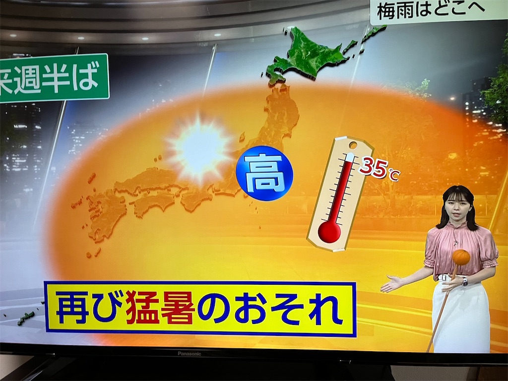 f:id:SHIMOTAYA:20250618195112j:image