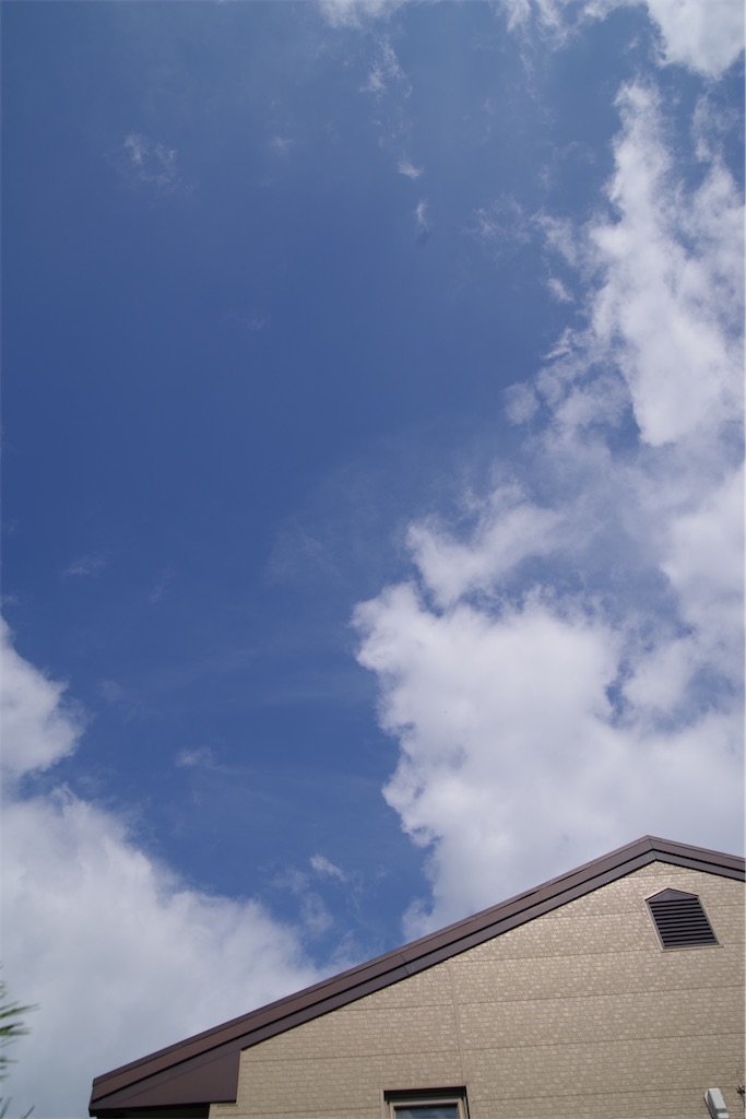 f:id:SHIMOTAYA:20250806202342j:image f:id:SHIMOTAYA:20250806202342j:image