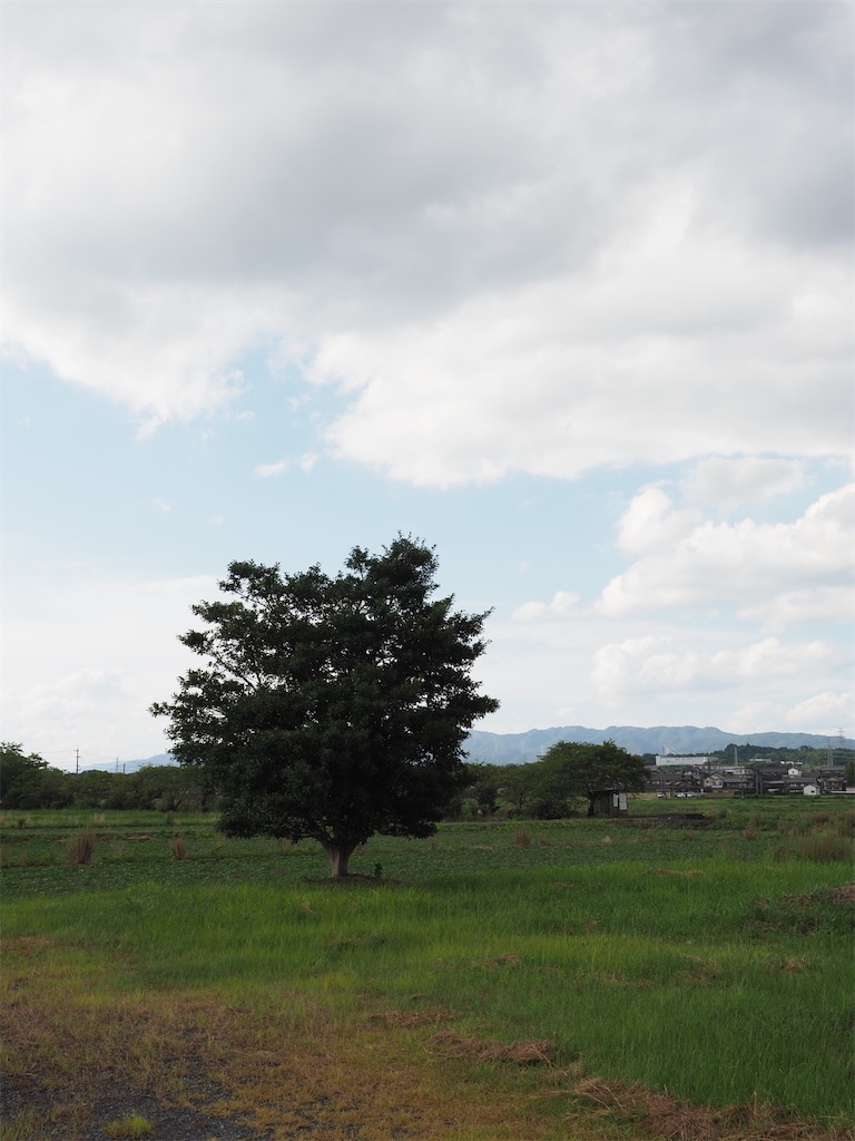 f:id:SHIMOTAYA:20250807210251j:image