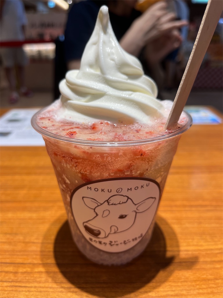 f:id:SHIMOTAYA:20250825212441j:image