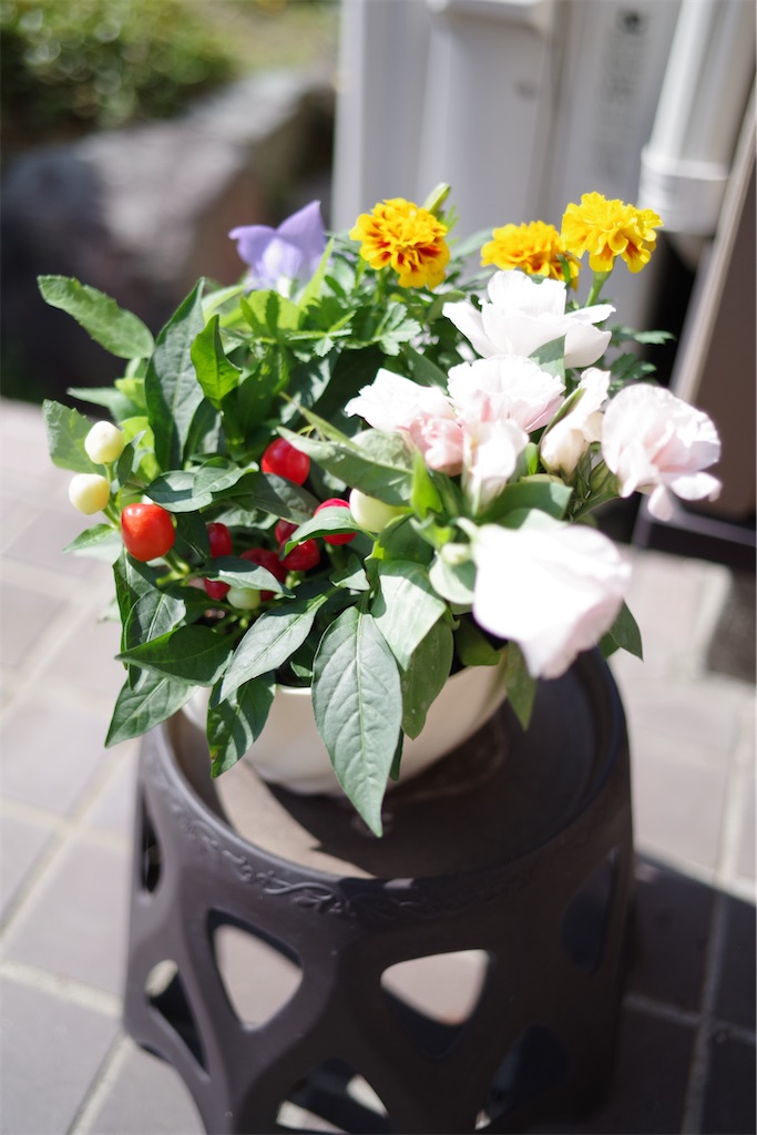 f:id:SHIMOTAYA:20250919194115j:image