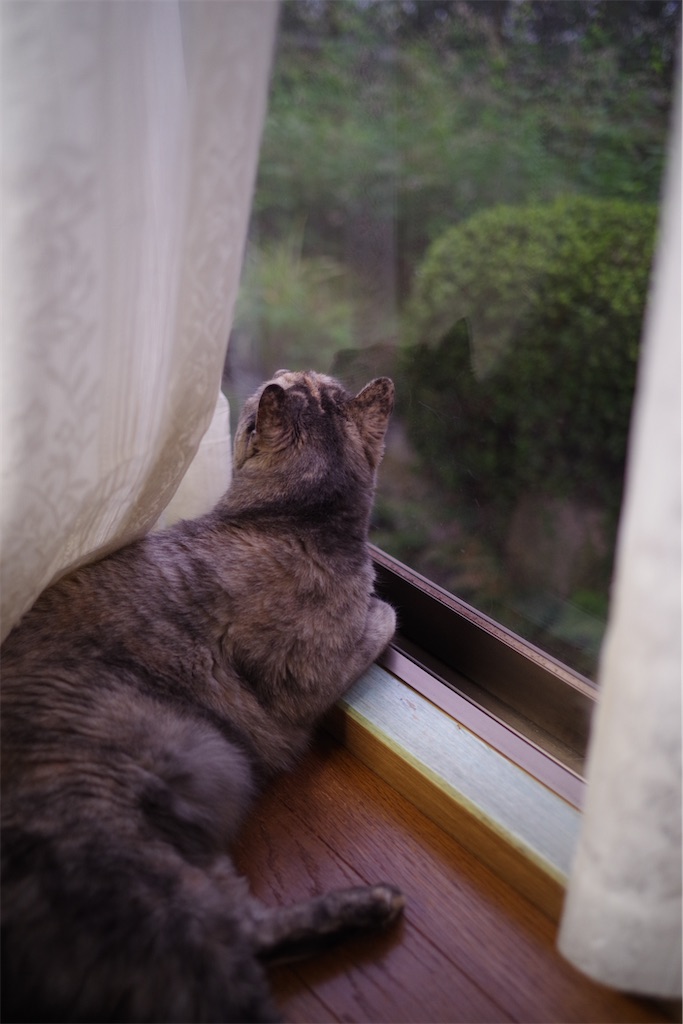 f:id:SHIMOTAYA:20250921192533j:image f:id:SHIMOTAYA:20250921192533j:image