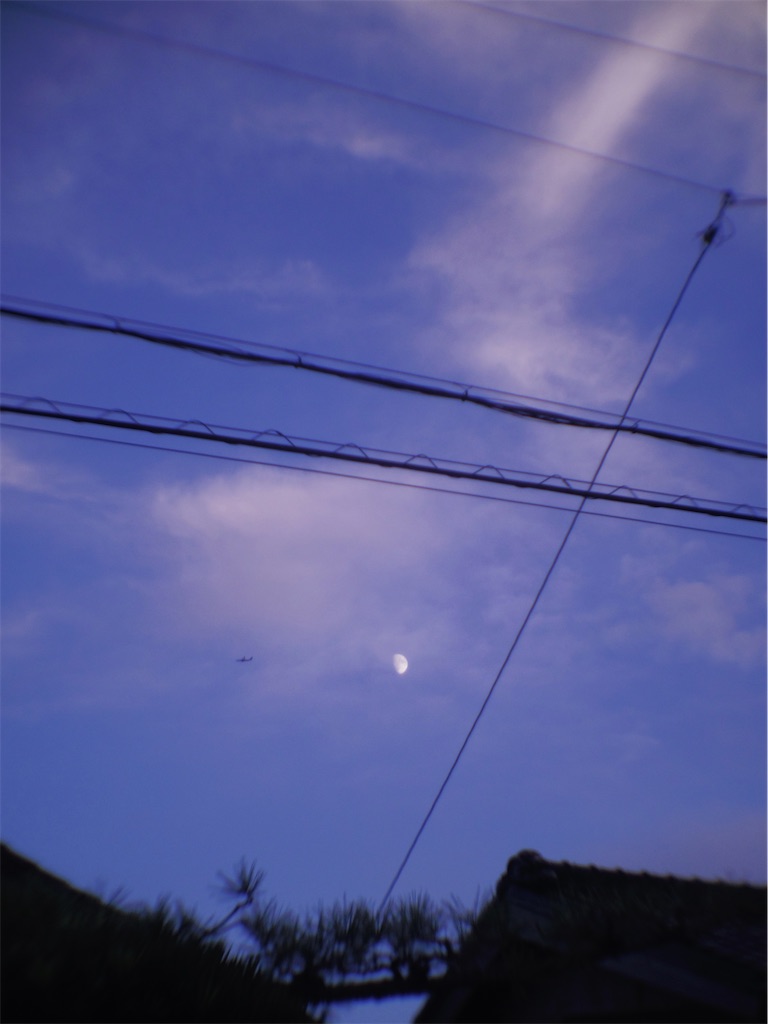 f:id:SHIMOTAYA:20251002182903j:image