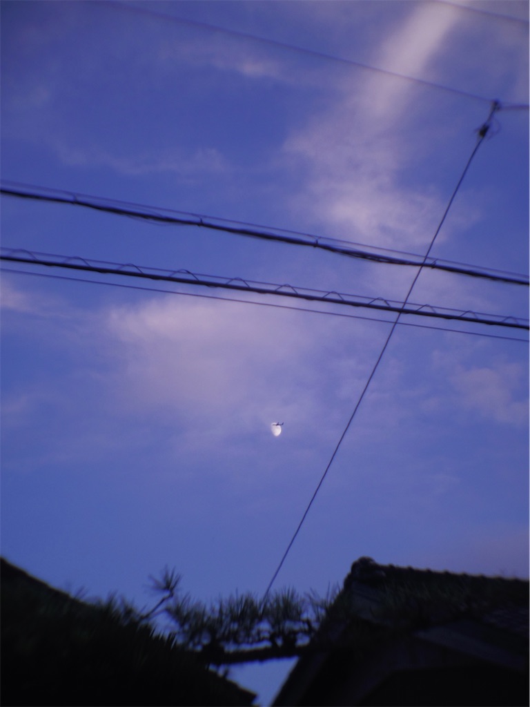 f:id:SHIMOTAYA:20251002182937j:image