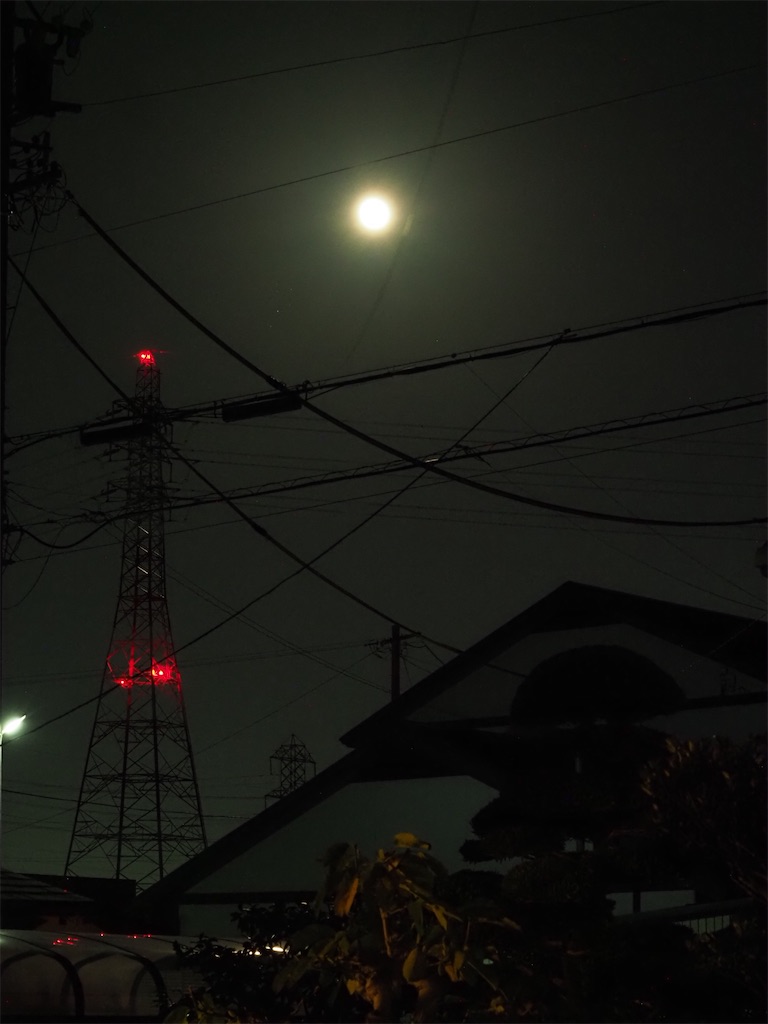 f:id:SHIMOTAYA:20251106200104j:image