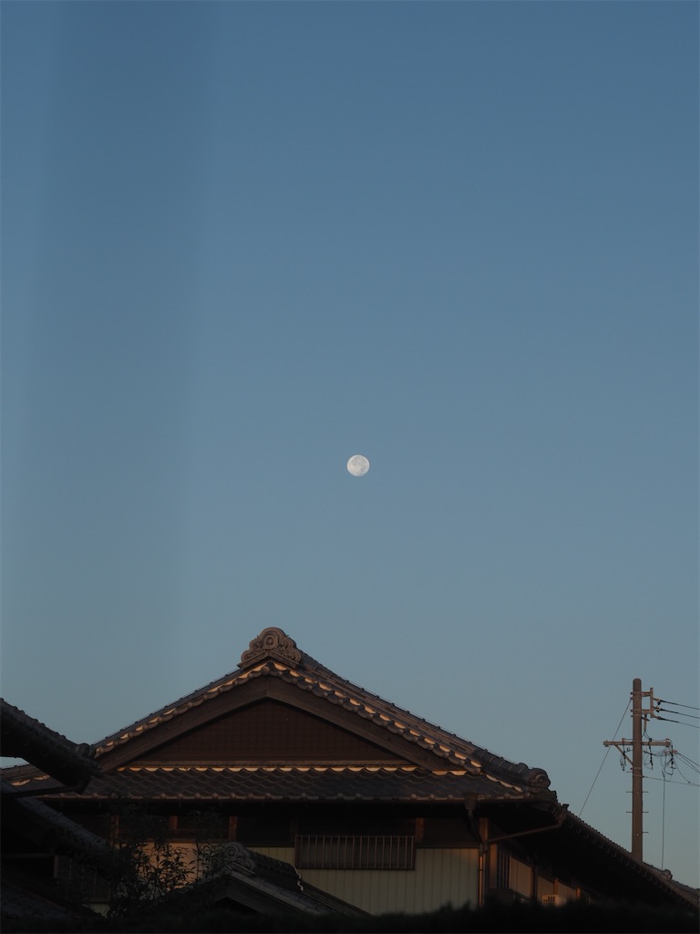 f:id:SHIMOTAYA:20251107210853j:image f:id:SHIMOTAYA:20251107210853j:image