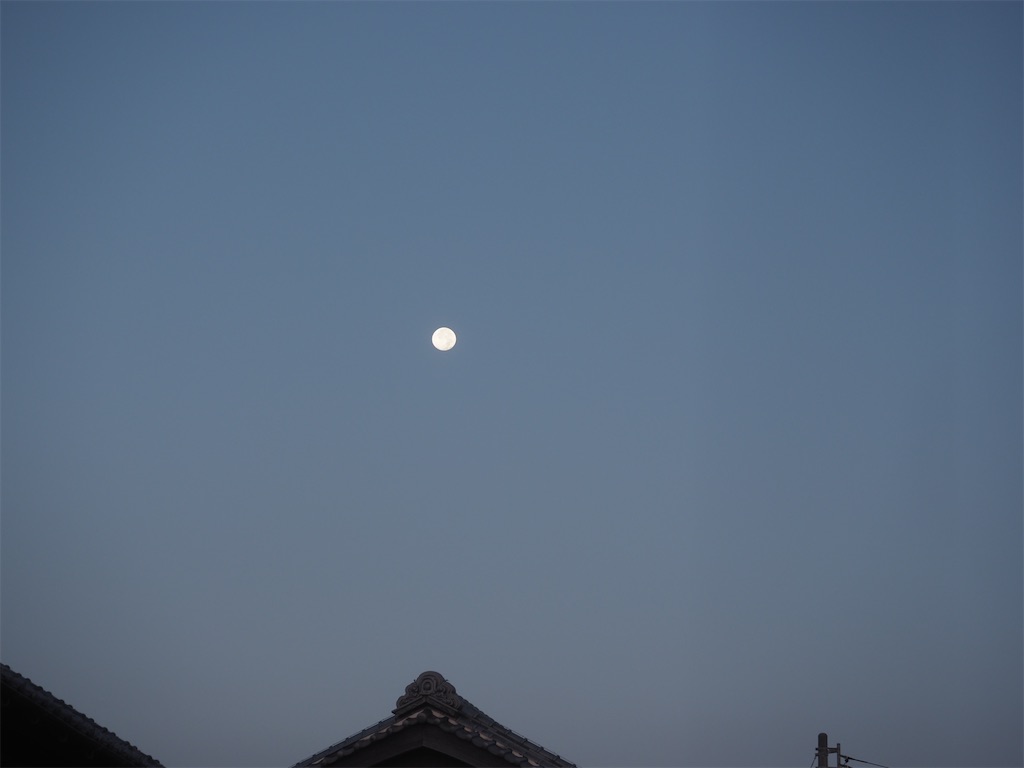 f:id:SHIMOTAYA:20251107211039j:image f:id:SHIMOTAYA:20251107211039j:image