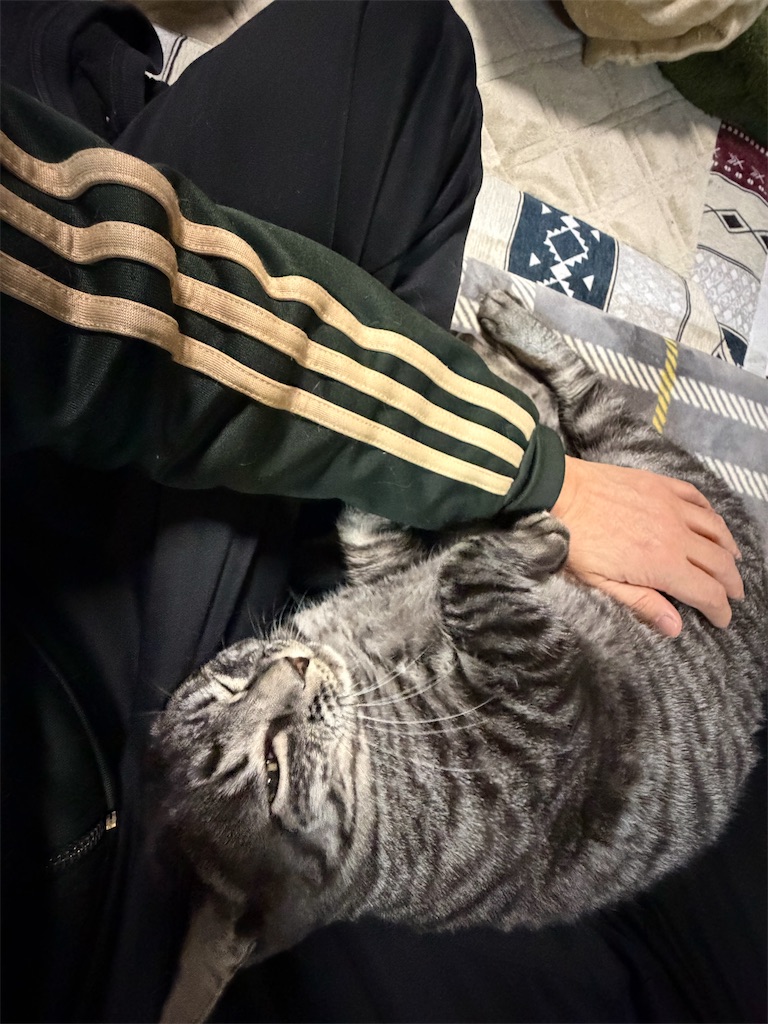 f:id:SHIMOTAYA:20251110190440j:image