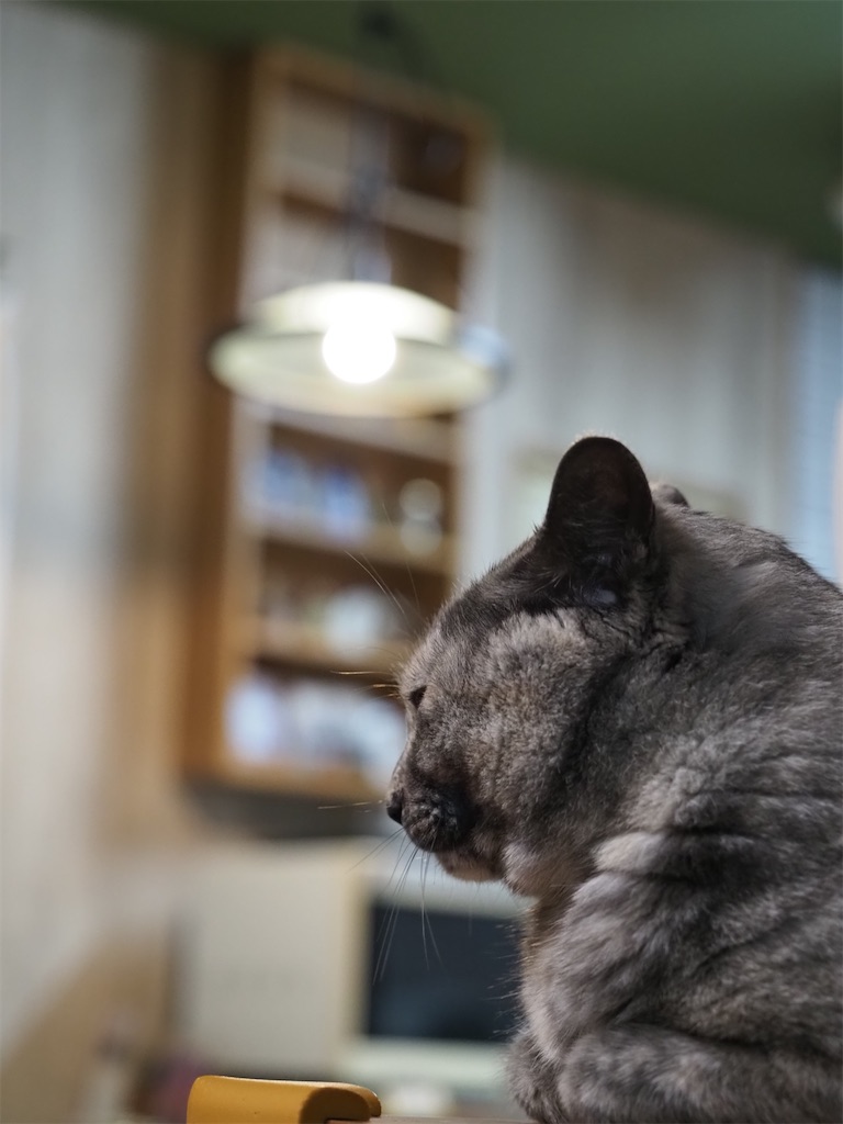 f:id:SHIMOTAYA:20251115183643j:image f:id:SHIMOTAYA:20251115183643j:image