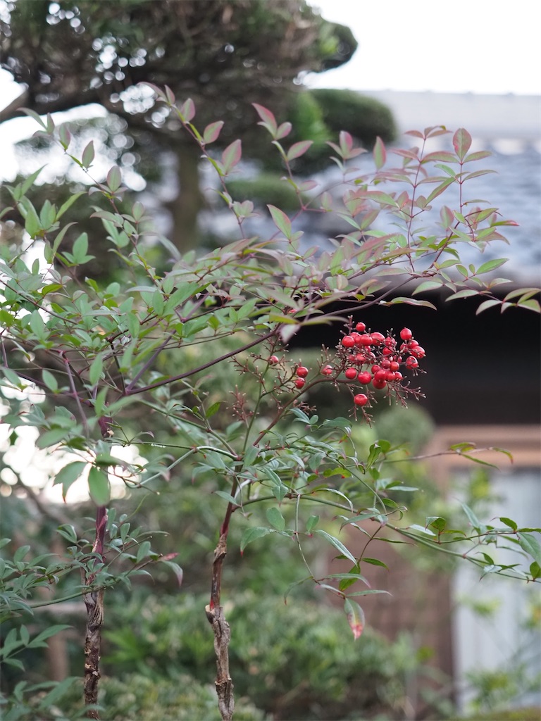 f:id:SHIMOTAYA:20251115184924j:image f:id:SHIMOTAYA:20251115184924j:image