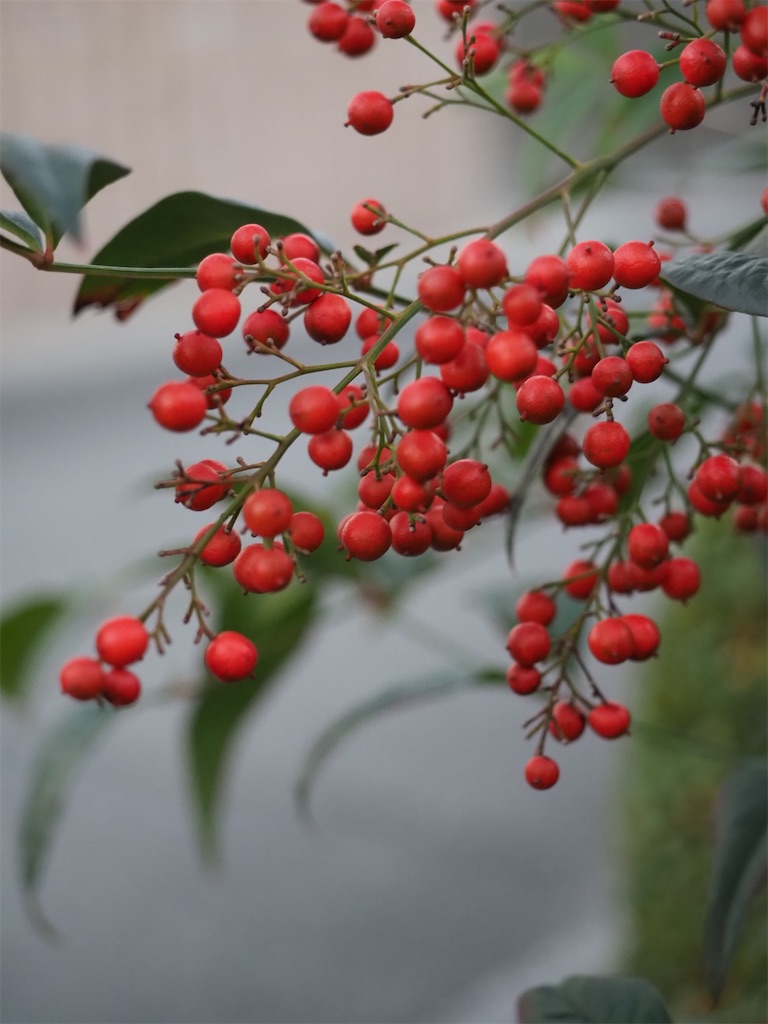 f:id:SHIMOTAYA:20251115185145j:image f:id:SHIMOTAYA:20251115185145j:image