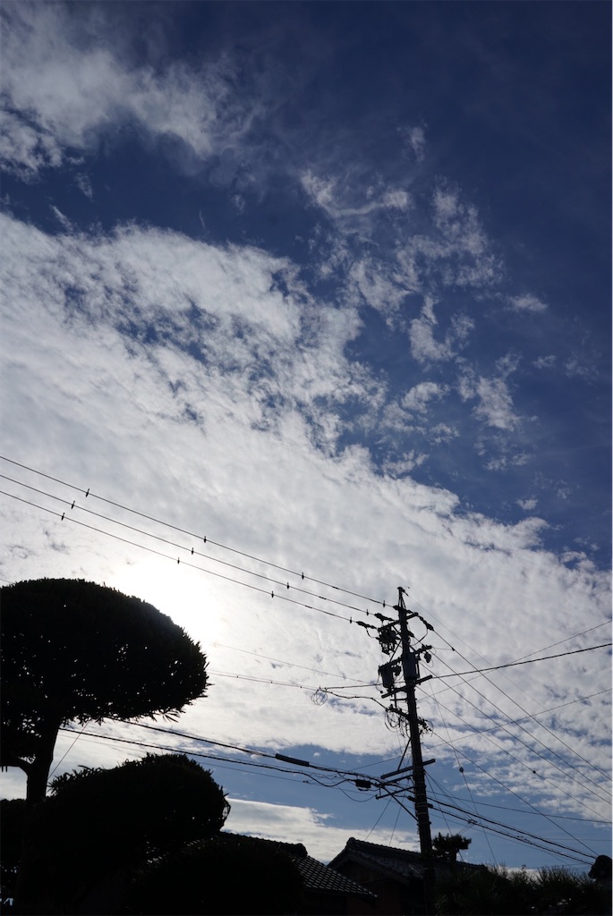f:id:SHIMOTAYA:20251124182640j:image