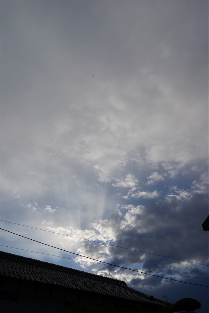f:id:SHIMOTAYA:20251124182853j:image