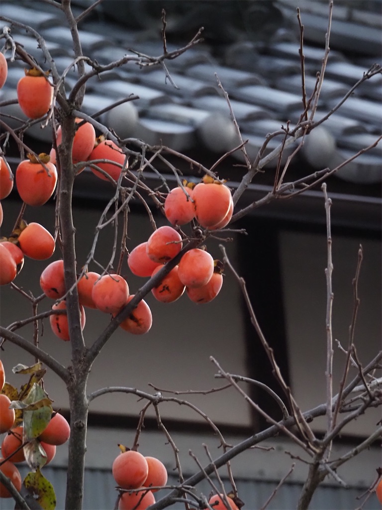 f:id:SHIMOTAYA:20251126182030j:image