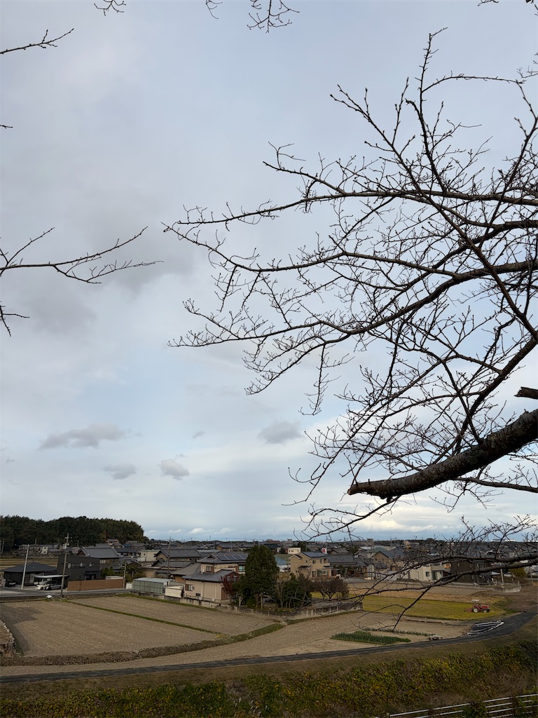 f:id:SHIMOTAYA:20251203202329j:image f:id:SHIMOTAYA:20251203202329j:image