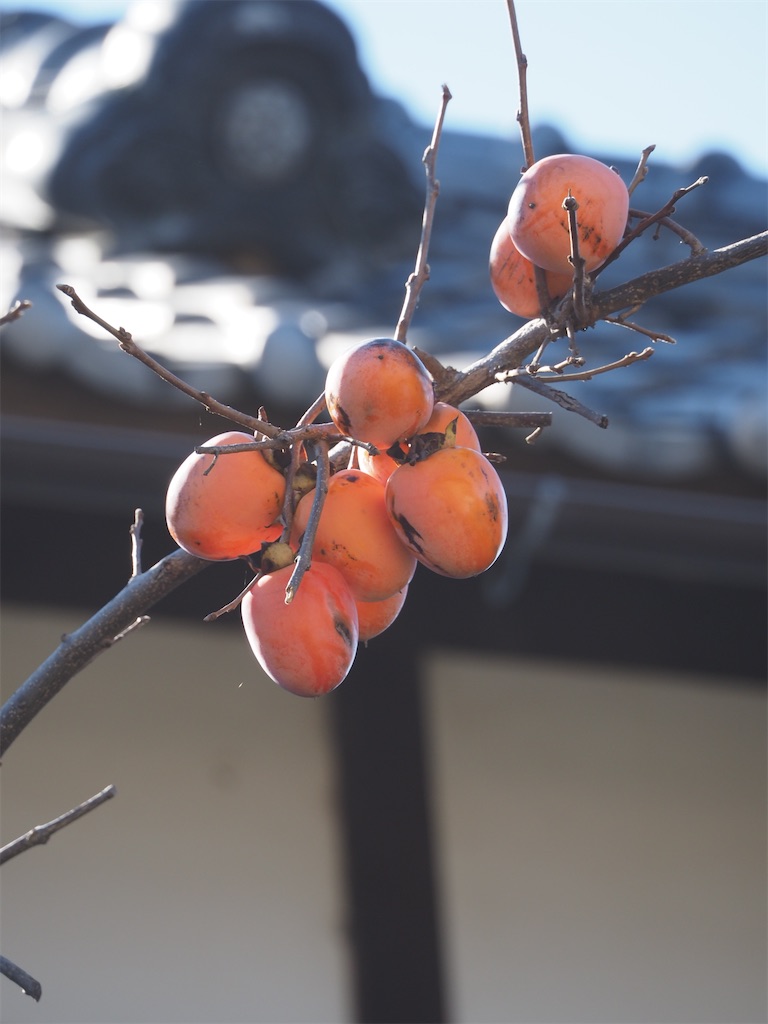 f:id:SHIMOTAYA:20251206165036j:image f:id:SHIMOTAYA:20251206165036j:image
