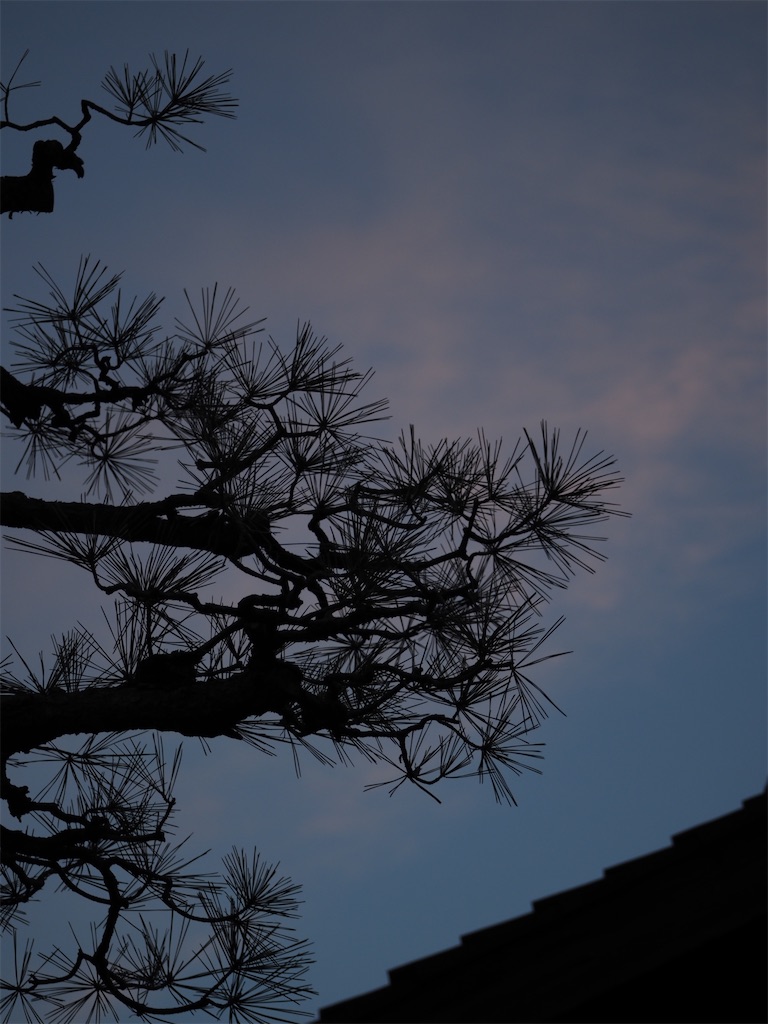f:id:SHIMOTAYA:20251231173412j:image
