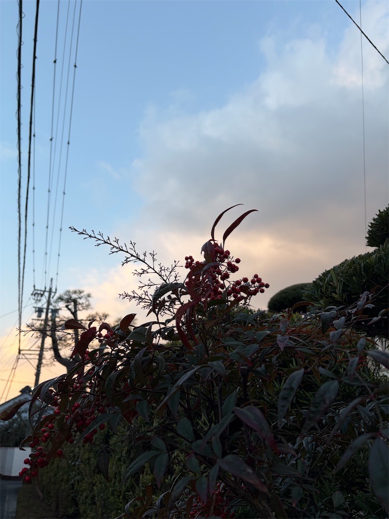 f:id:SHIMOTAYA:20260108132832j:image