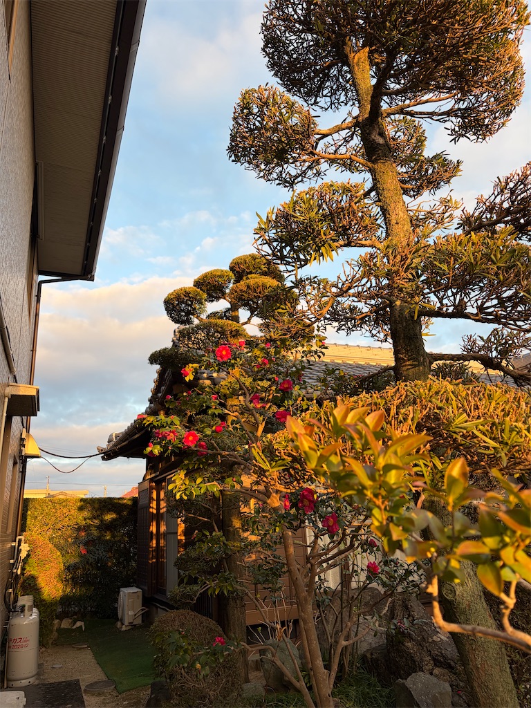 f:id:SHIMOTAYA:20260109183935j:image