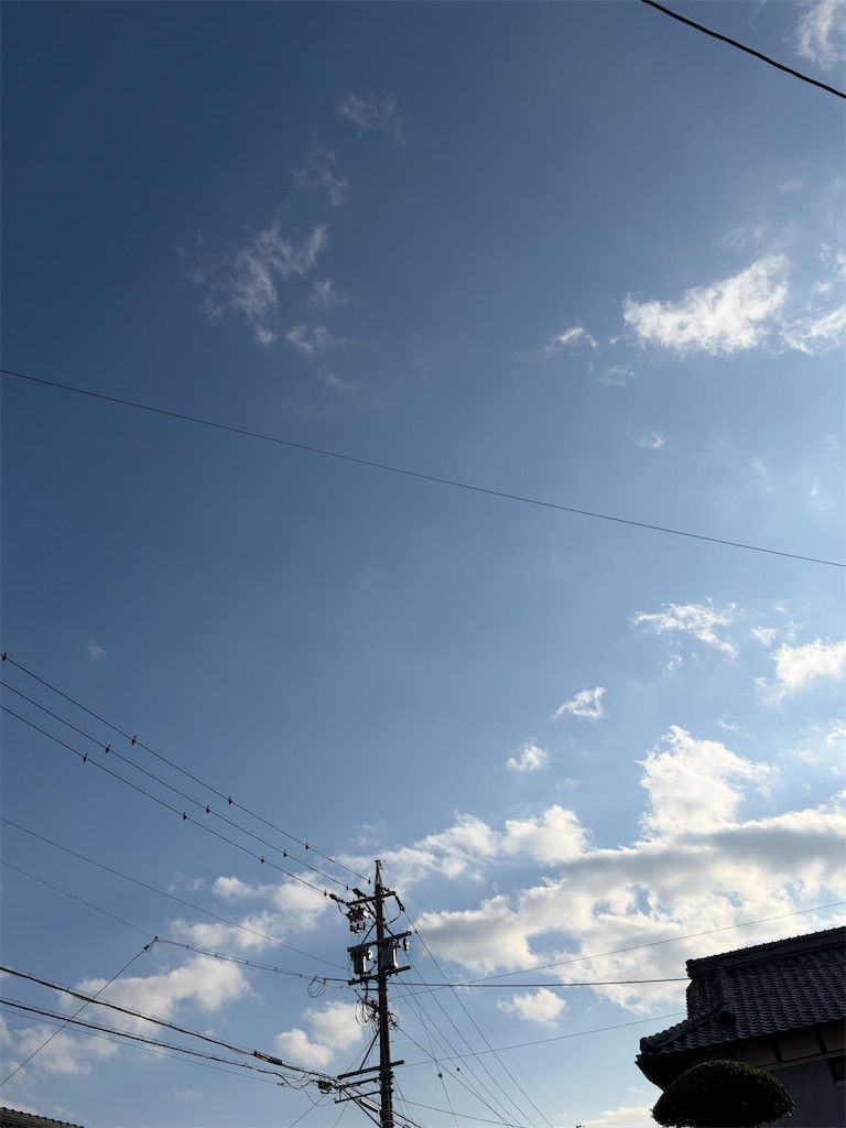 f:id:SHIMOTAYA:20260204181119j:image f:id:SHIMOTAYA:20260204181119j:image