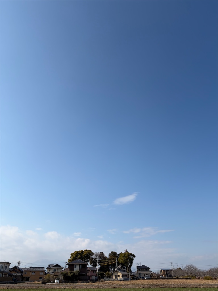 f:id:SHIMOTAYA:20260215190754j:image f:id:SHIMOTAYA:20260215190754j:image