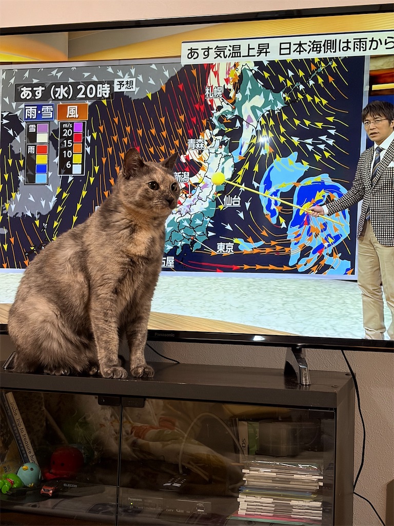 f:id:SHIMOTAYA:20260218202149j:image f:id:SHIMOTAYA:20260218202149j:image
