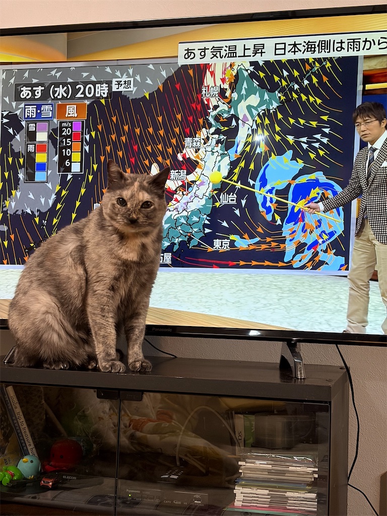f:id:SHIMOTAYA:20260218202201j:image f:id:SHIMOTAYA:20260218202201j:image