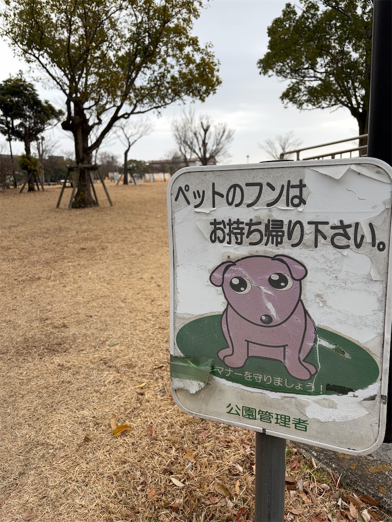 f:id:SHIMOTAYA:20260223180814j:image