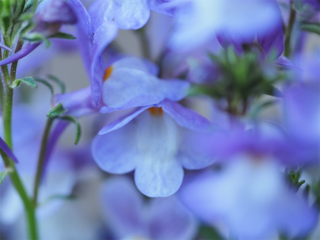 f:id:SHIMOTAYA:20260227182714j:image f:id:SHIMOTAYA:20260227182714j:image