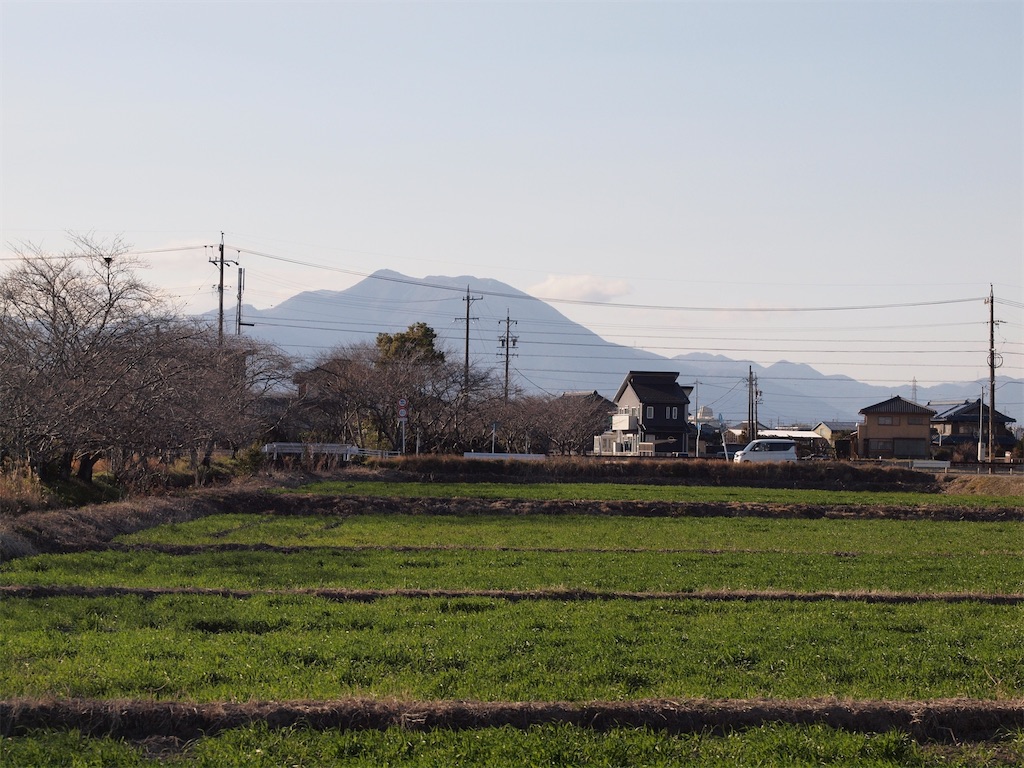f:id:SHIMOTAYA:20260312182306j:image