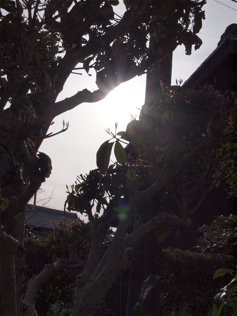 f:id:SHIMOTAYA:20260314192642j:image