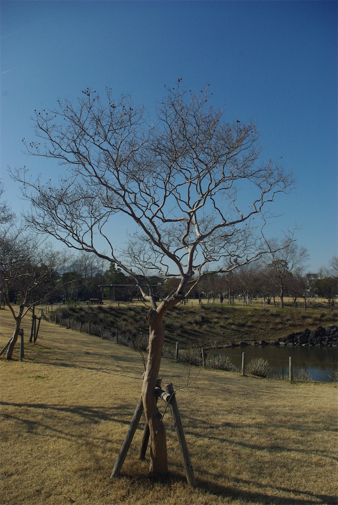 f:id:SHIMOTAYA:20260317172125j:image