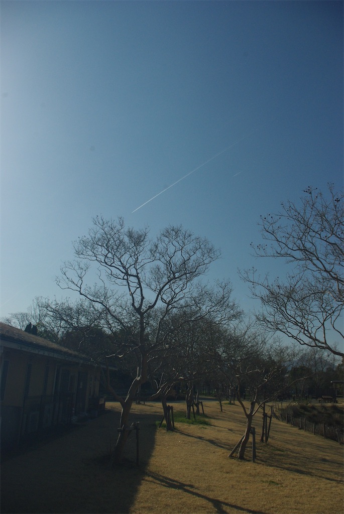 f:id:SHIMOTAYA:20260317172132j:image