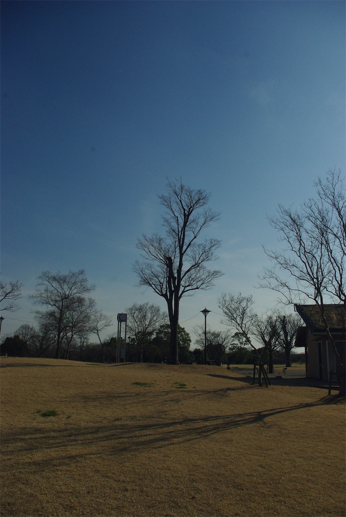 f:id:SHIMOTAYA:20260317172725j:image
