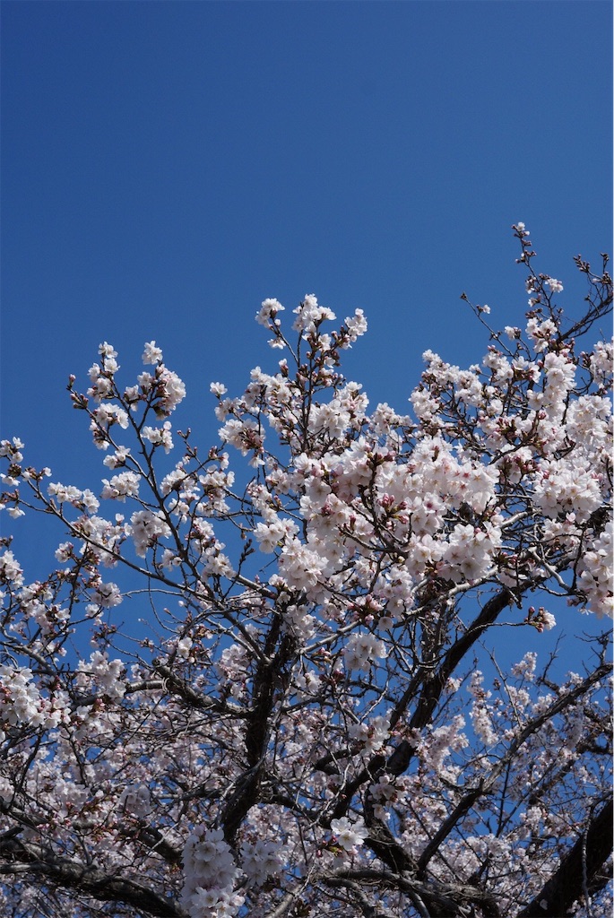 f:id:SHIMOTAYA:20260327175257j:image