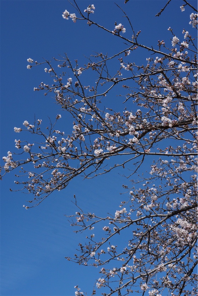 f:id:SHIMOTAYA:20260327180050j:image