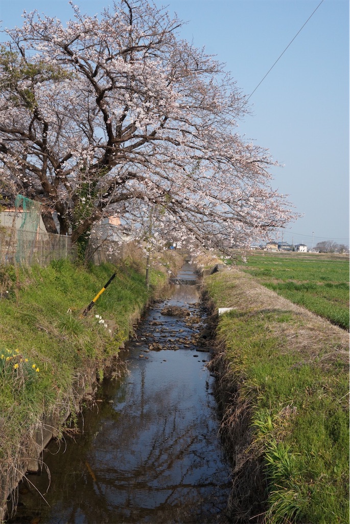 f:id:SHIMOTAYA:20260328185710j:image