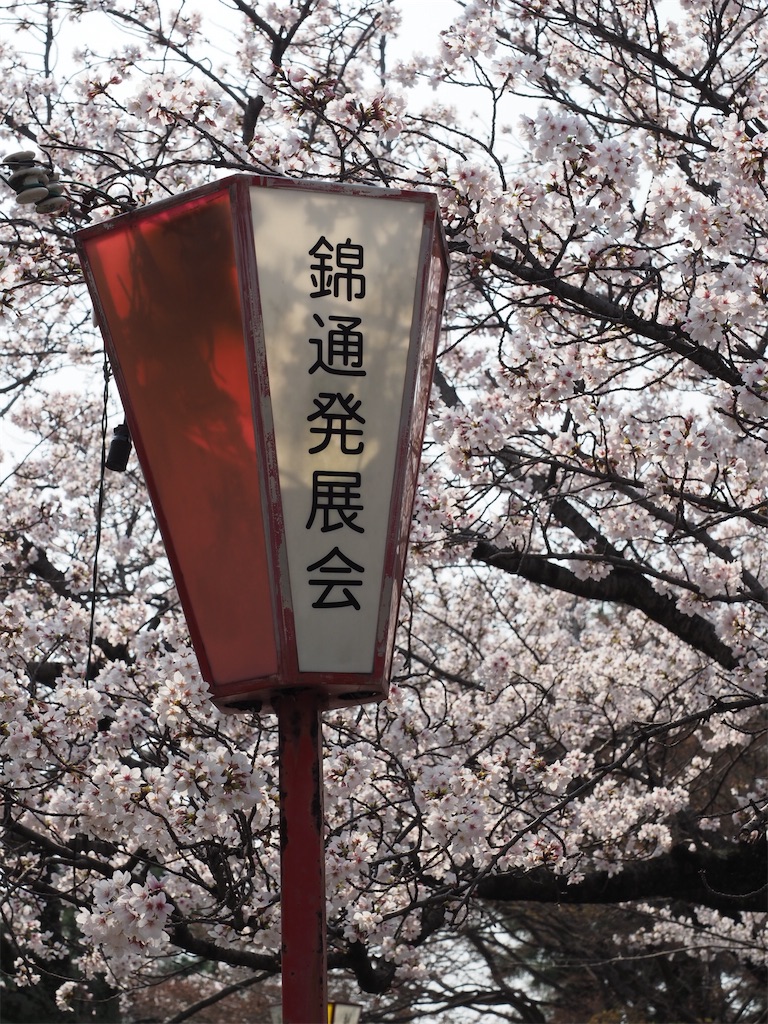 f:id:SHIMOTAYA:20260329172027j:image