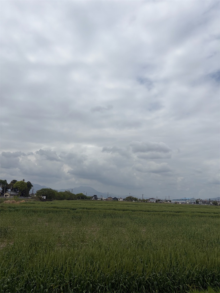 f:id:SHIMOTAYA:20260420184343j:image