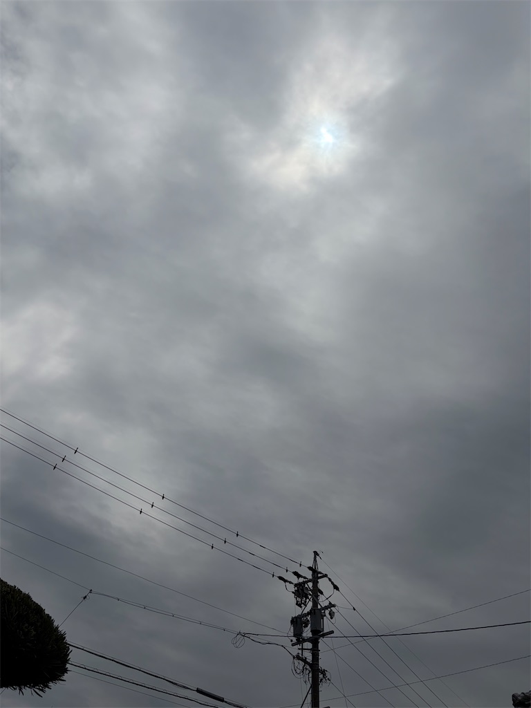 f:id:SHIMOTAYA:20260503154535j:image f:id:SHIMOTAYA:20260503154535j:image