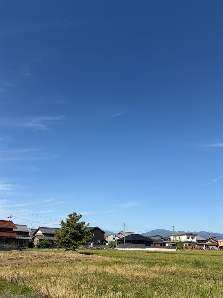 f:id:SHIMOTAYA:20260505164303j:image f:id:SHIMOTAYA:20260505164303j:image