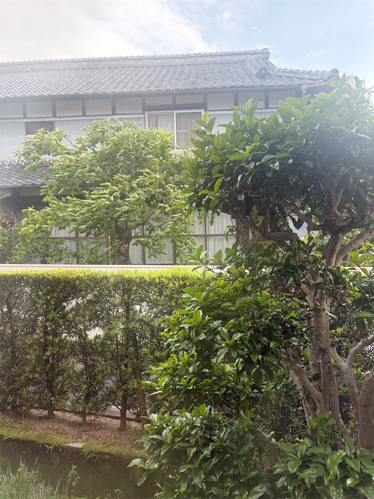 f:id:SHIMOTAYA:20260508180132j:image