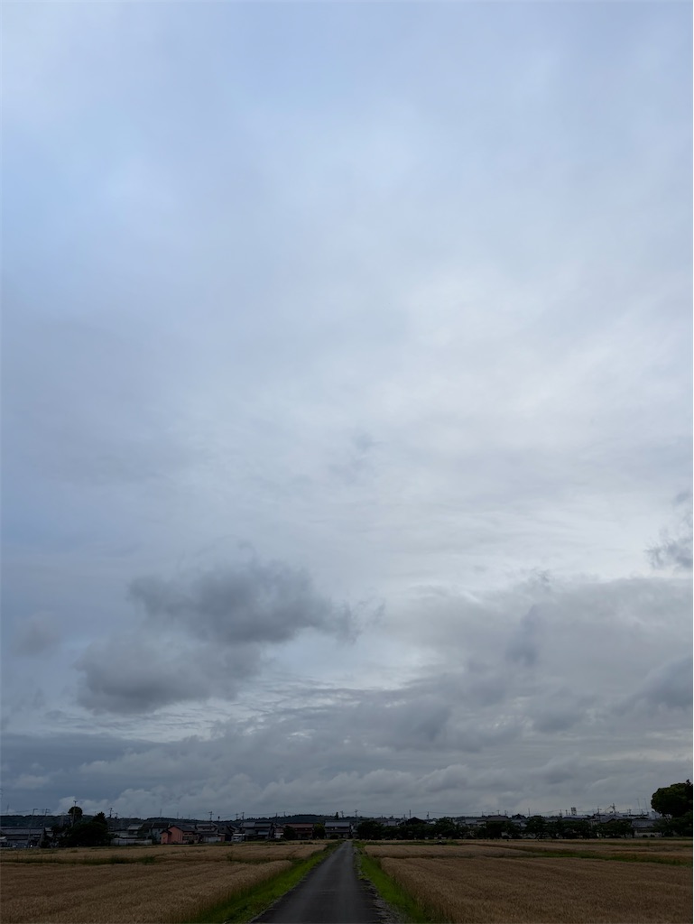 f:id:SHIMOTAYA:20260527192013j:image f:id:SHIMOTAYA:20260527192013j:image